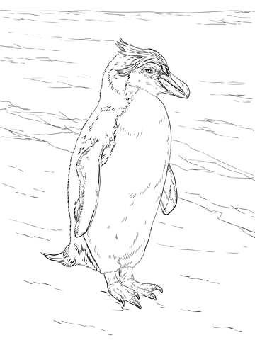 Realistic Royal Penguin Coloring Page